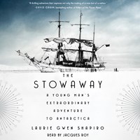 THE STOWAWAY