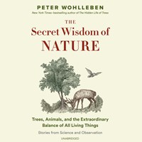 THE SECRET WISDOM OF NATURE