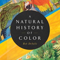 A NATURAL HISTORY OF COLOR