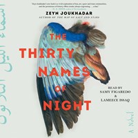 THE THIRTY NAMES OF NIGHT