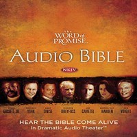 THE WORD OF PROMISE AUDIO BIBLE