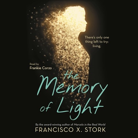 THE MEMORY OF LIGHT