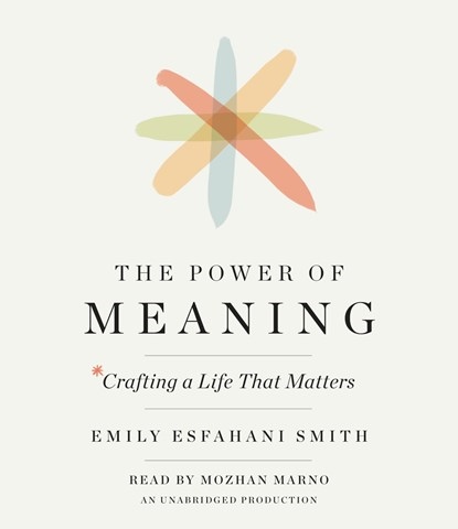 THE POWER OF MEANING