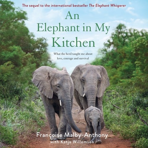AN ELEPHANT IN MY KITCHEN