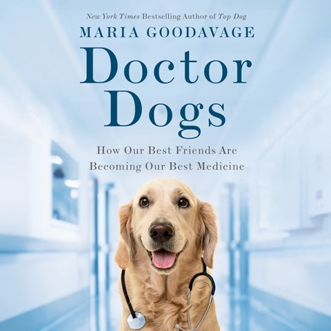 DOCTOR DOGS