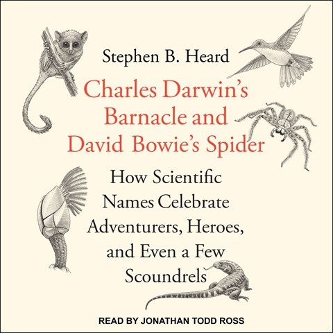 CHARLES DARWIN'S BARNACLE AND DAVID BOWIE'S SPIDER