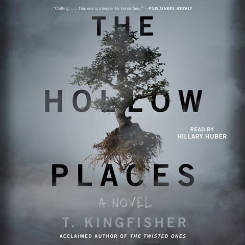 THE HOLLOW PLACES