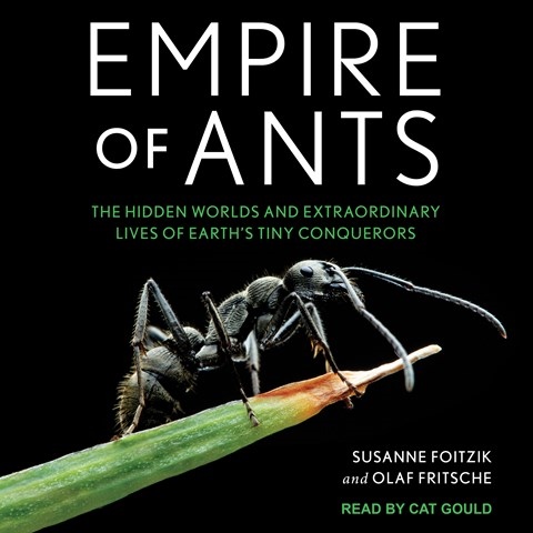 EMPIRE OF ANTS