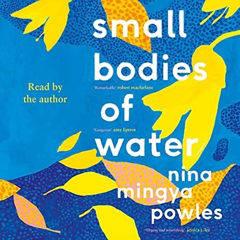 SMALL BODIES OF WATER
