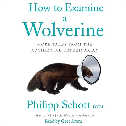 HOW TO EXAMINE A WOLVERINE
