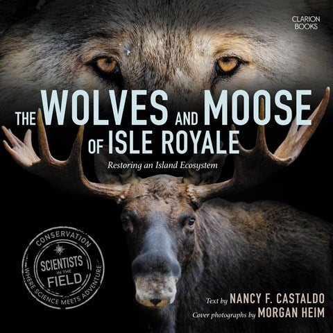 THE WOLVES AND MOOSE OF ISLE ROYALE