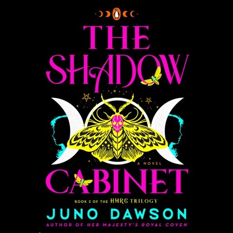 THE SHADOW CABINET