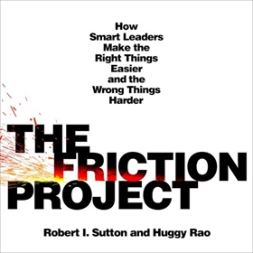 THE FRICTION PROJECT