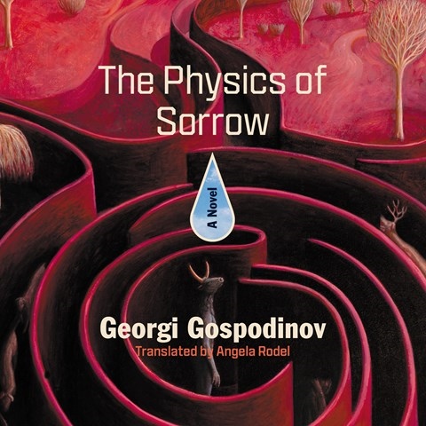 THE PHYSICS OF SORROW