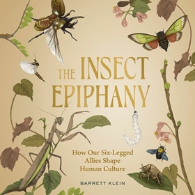 THE INSECT EPIPHANY